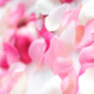 Meet your Posher, Sanan